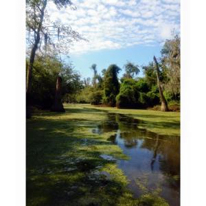 11014835_10207513327376388_232876259801518120_n