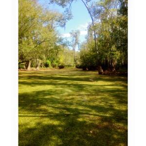 11217159_10207513327216384_1665501026079725768_n