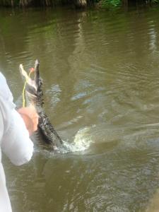 11938055_10207513325696346_7064286388421936701_n