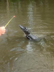 11951809_10207513325896351_4644108846131914808_n