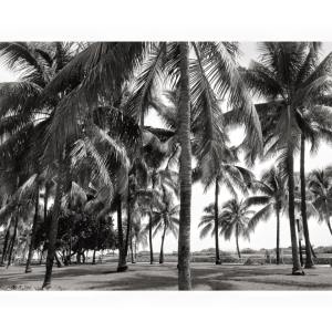 11057530_10207545807308366_8431844065742950791_n